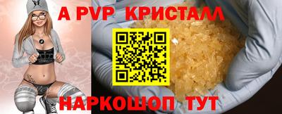 PSILOCYBIN Гатчина