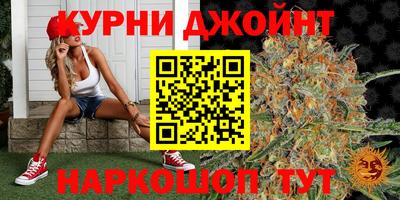 PSILOCYBIN Гатчина