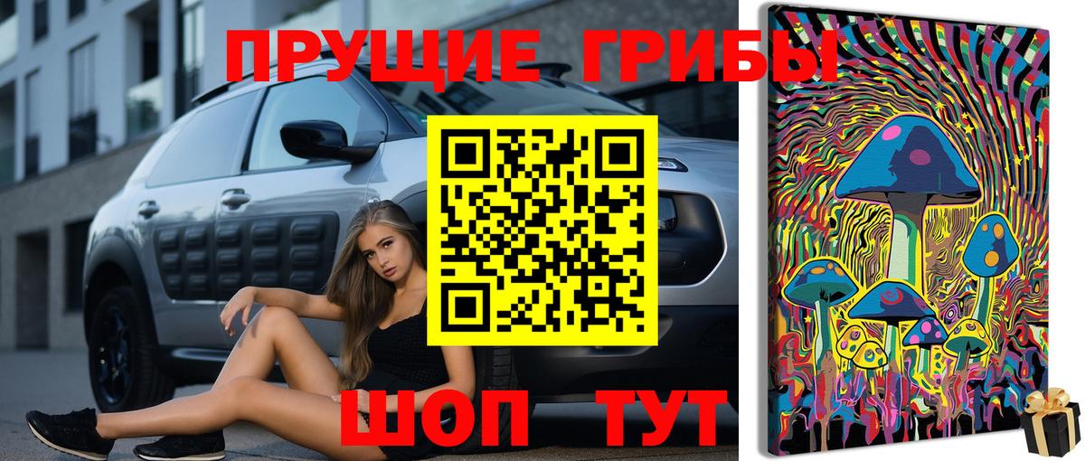 Псилоцибиновые грибы MAGIC MUSHROOMS  Вход с VPN  Кыштым 