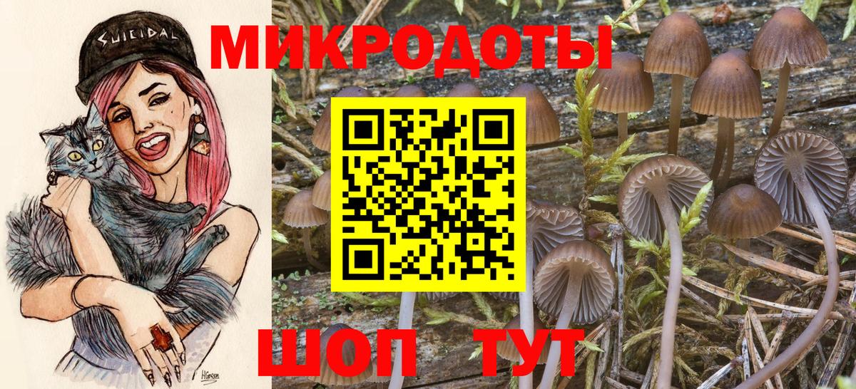 Псилоцибиновые грибы мицелий Кыштым
